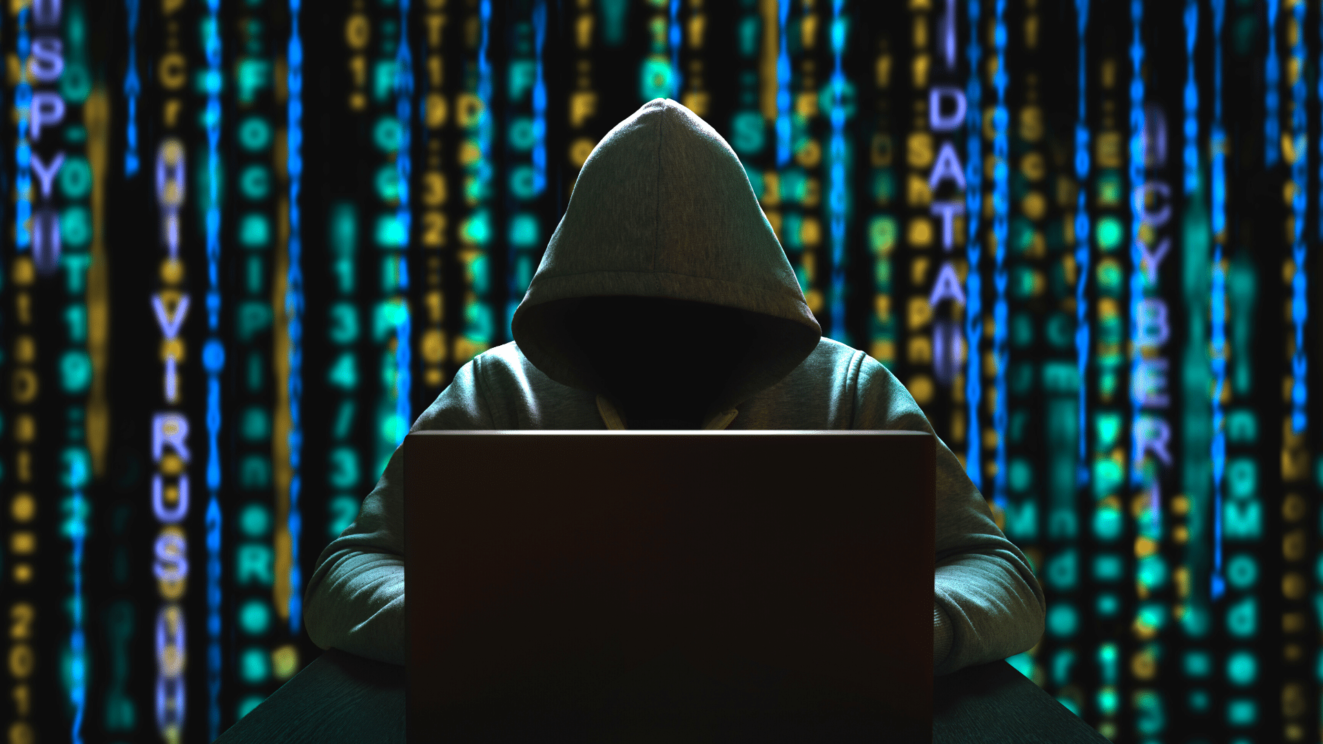 برمجية خبيثة ومخاطر الخصوصية